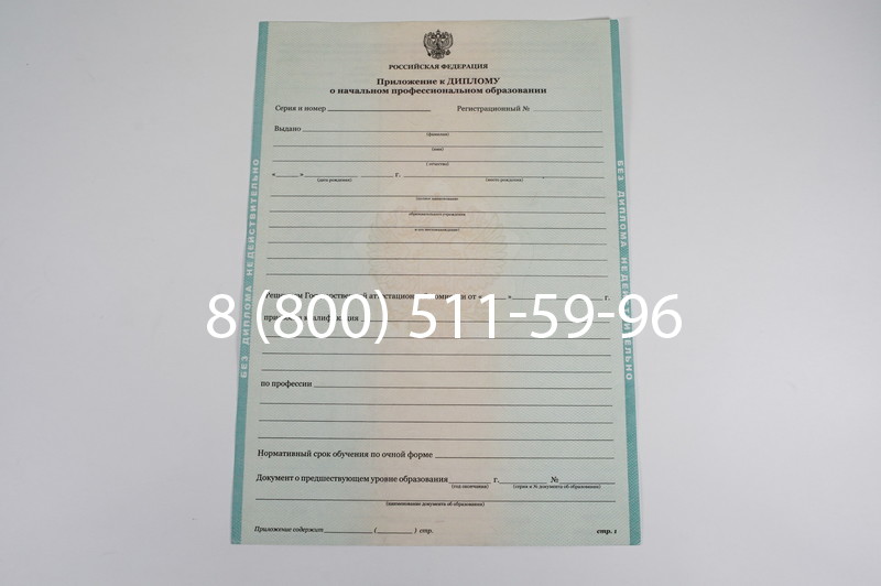 Диплом ПТУ 2014-2024 года в Орске